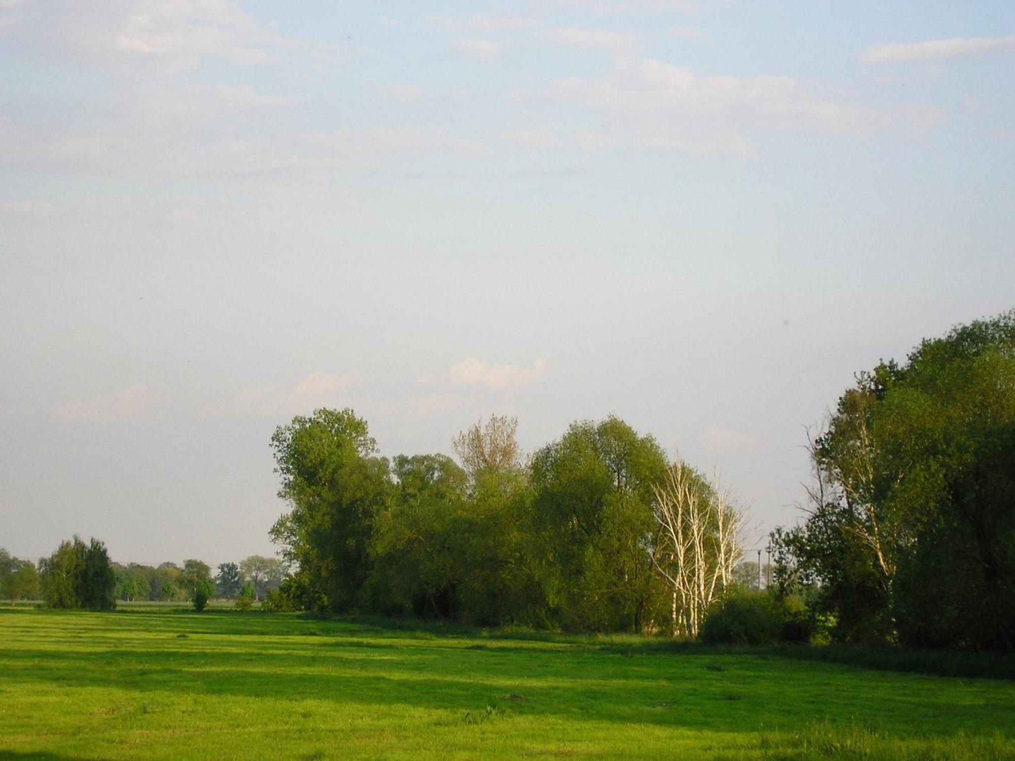 Parkhotel Schoenewalde Bagian luar foto